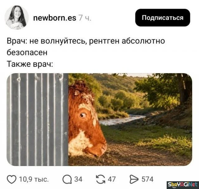 Доктор прописал смех приколы, врачи, юмор, картинки, медицина