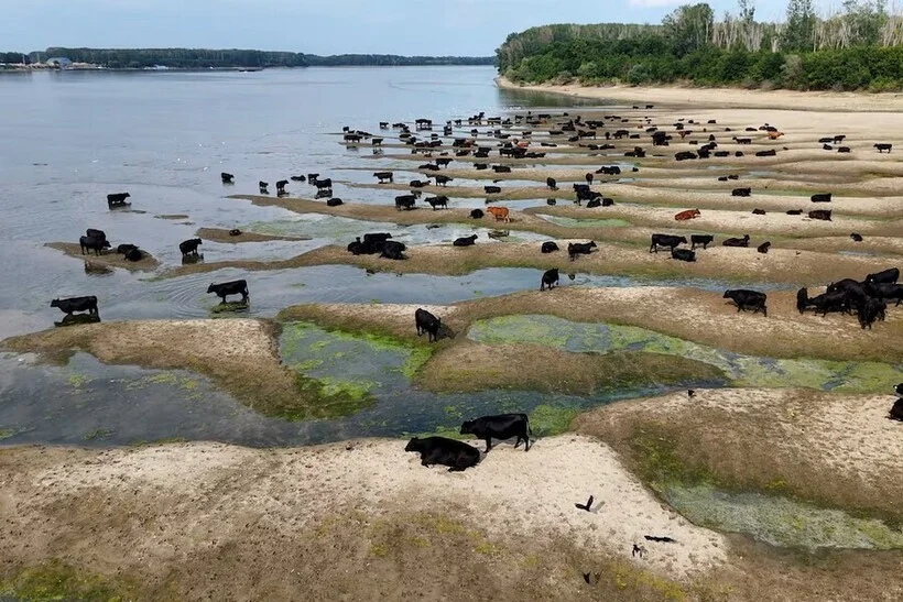 Планета без воды: 14 кадров обмелевших рек и озер засуха, природа, климат, фото, реки, озера, экология
