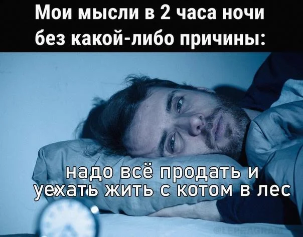 Лесной юмор: мемы, которые поймет даже дремучий дуб лес, мемы, природа, юмор, картинки, подборка