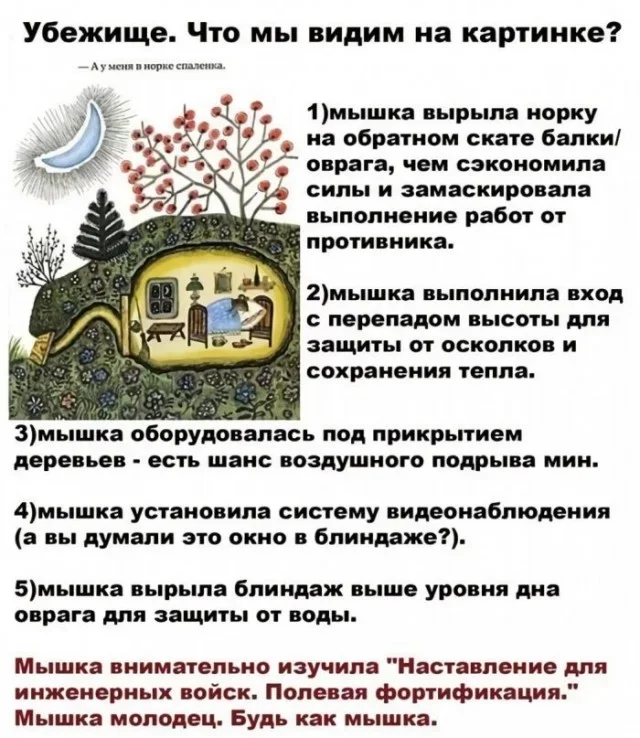 Мемы на утро: кормежка и пропажа денег Мемы на утро: кормежка и пропажа денег мемы, юмор, картинки, подборка, 15 сентября