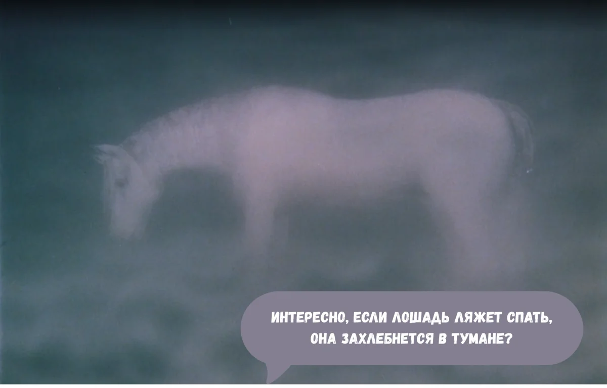 6 фраз, которые мы точно помним наизусть 6 фраз, которые мы точно помним наизусть ежик в тумане, цитаты, Норштейн, мультфильмы, анимация