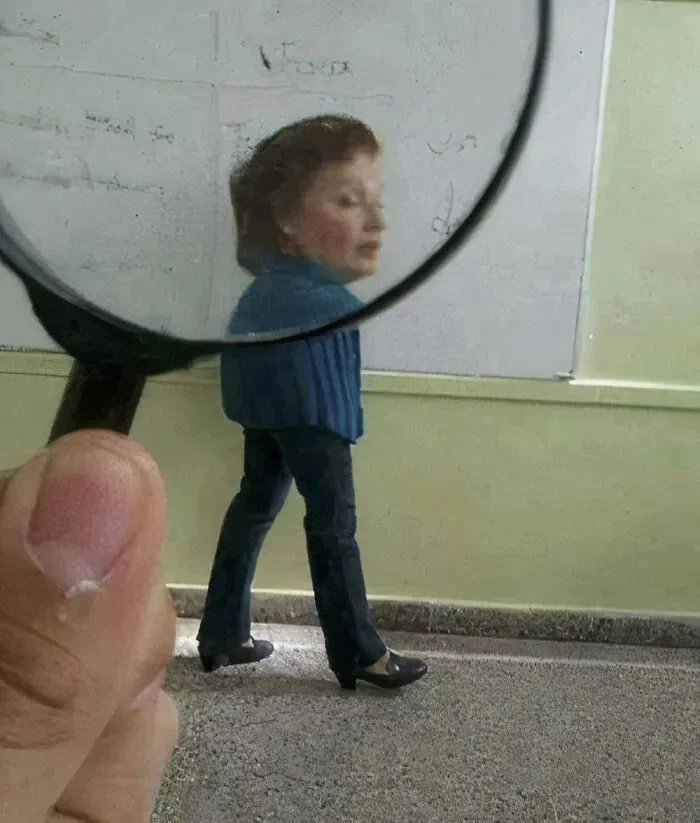 Хаос вокруг — это нормально Хаос вокруг — это нормально юмор, приколы, фото, коты, подборка, картинки