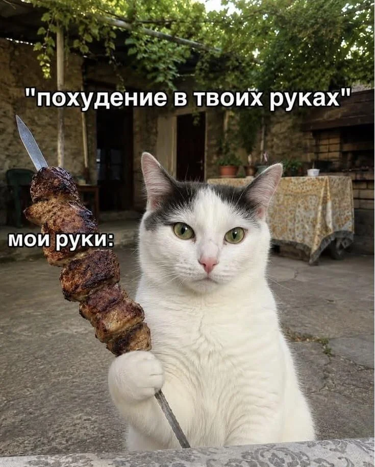 Мемы про похудение: когда весы смеются над тобой Мемы про похудение: когда весы смеются над тобой мемы, похудение, диеты, юмор, картинки, приколы