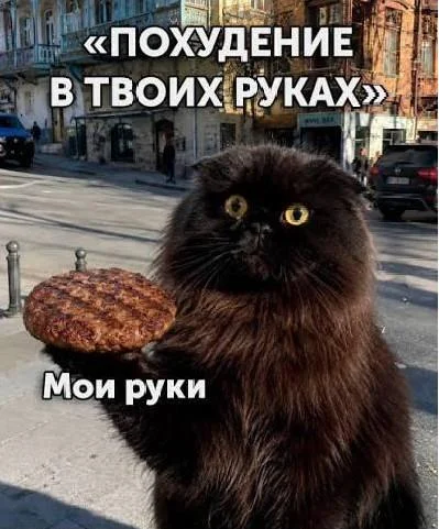 Мемы про похудение: когда весы смеются над тобой Мемы про похудение: когда весы смеются над тобой мемы, похудение, диеты, юмор, картинки, приколы