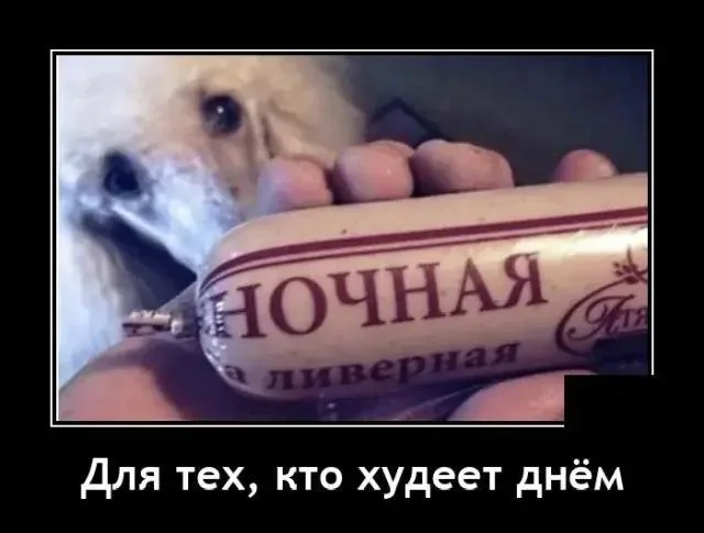Мемы про похудение: когда весы смеются над тобой Мемы про похудение: когда весы смеются над тобой мемы, похудение, диеты, юмор, картинки, приколы