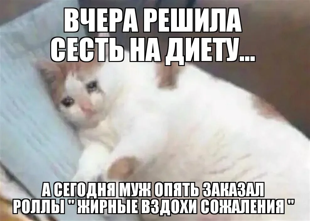 Мемы про похудение: когда весы смеются над тобой Мемы про похудение: когда весы смеются над тобой мемы, похудение, диеты, юмор, картинки, приколы