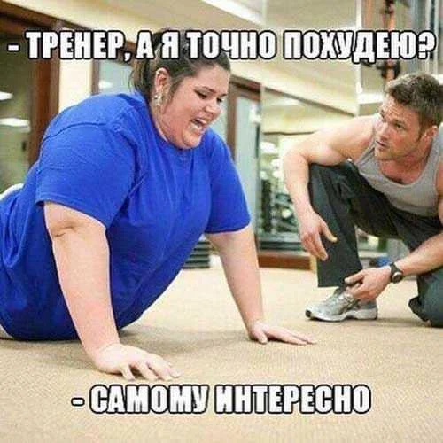 Мемы про похудение: когда весы смеются над тобой Мемы про похудение: когда весы смеются над тобой мемы, похудение, диеты, юмор, картинки, приколы