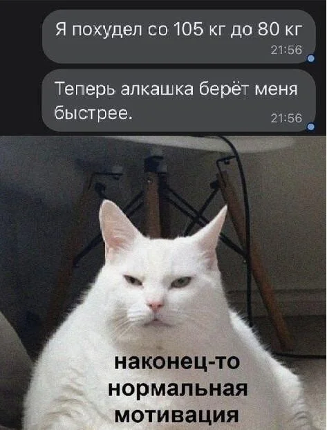 Мемы про похудение: когда весы смеются над тобой Мемы про похудение: когда весы смеются над тобой мемы, похудение, диеты, юмор, картинки, приколы