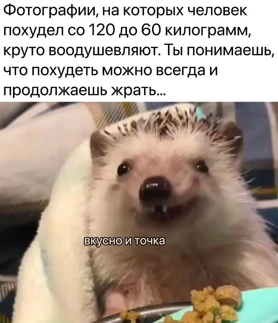 Мемы про похудение: когда весы смеются над тобой Мемы про похудение: когда весы смеются над тобой мемы, похудение, диеты, юмор, картинки, приколы