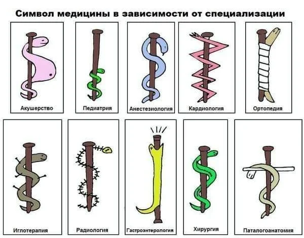Середина недели? Лови заряд смеха! Середина недели? Лови заряд смеха! мемы, юмор, позитив, картинки