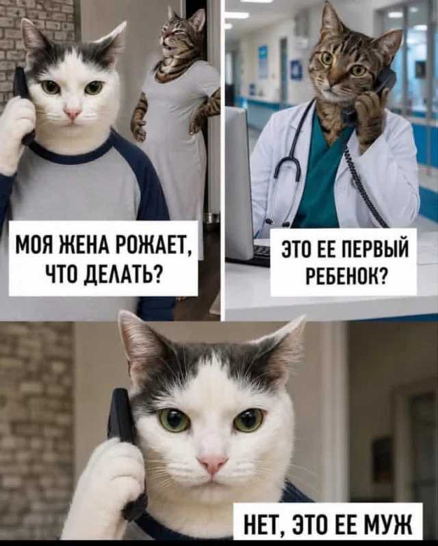 Середина недели? Лови заряд смеха! Середина недели? Лови заряд смеха! мемы, юмор, позитив, картинки