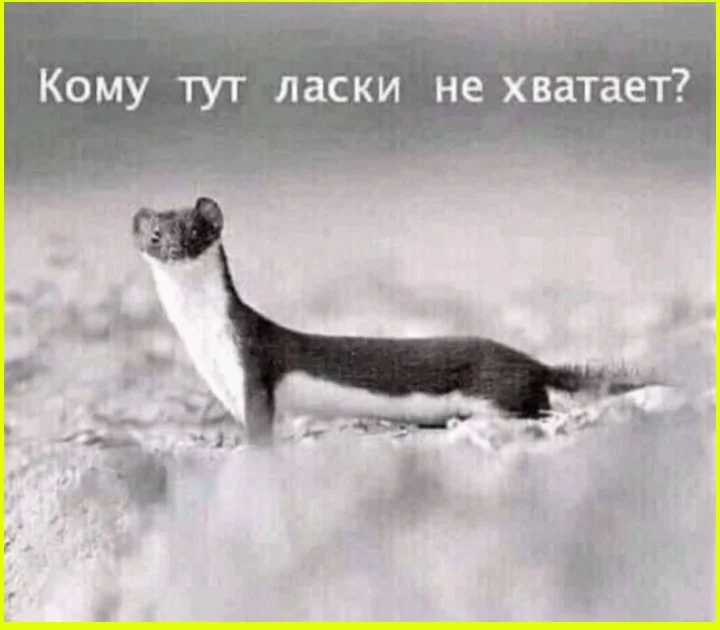 Панин, дым и запрещёнка Алексей Панин, подборка, фото, кино, предупреждение