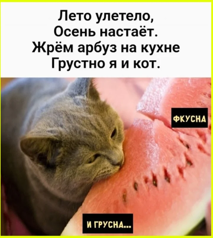 Панин, дым и запрещёнка Алексей Панин, подборка, фото, кино, предупреждение