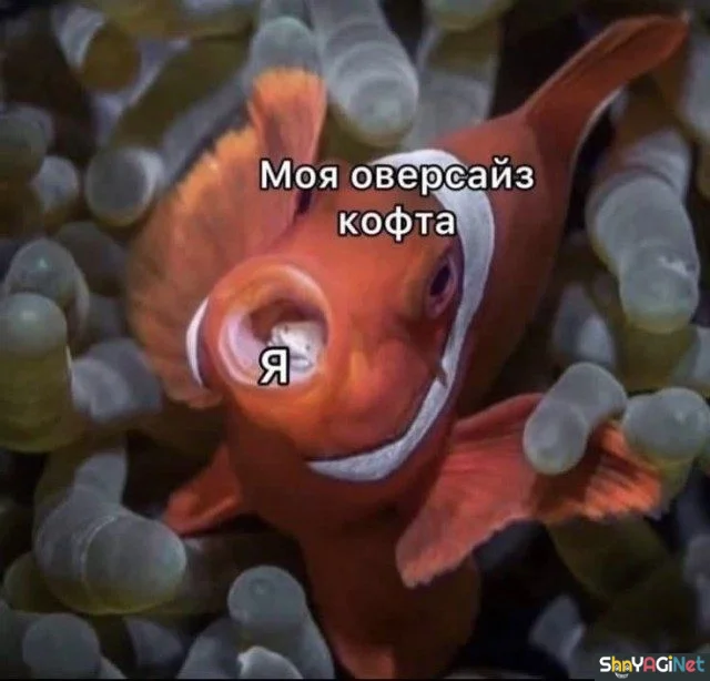 Смехопанорама: заряжаемся позитивом приколы, юмор, картинки, смех, подборка