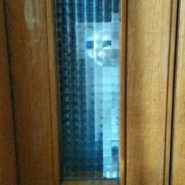 Коты из прошлого: 8-битные пушистики пиксели, кошки, ретро, ностальгия, 8 бит, графика