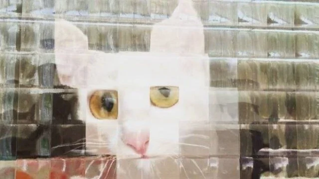Коты из прошлого: 8-битные пушистики пиксели, кошки, ретро, ностальгия, 8 бит, графика