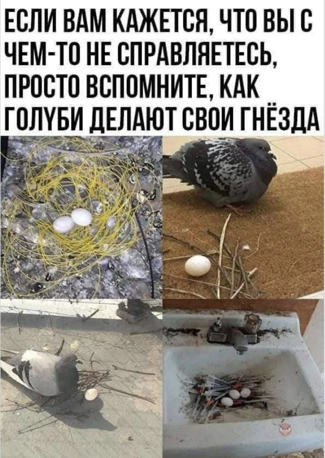 Улыбнись! 15 картинок для быстрой перезагрузки юмор, картинки, подборка, смешное, отдых