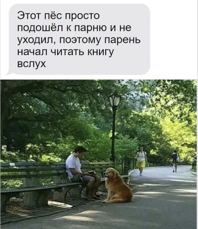 Улыбнись! 15 картинок для быстрой перезагрузки юмор, картинки, подборка, смешное, отдых