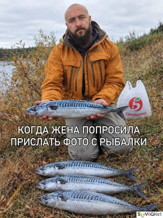 Когда жизнь подкидывает смешные ситуации Когда жизнь подкидывает смешные ситуации приколы, картинки, юмор, мемы, когда