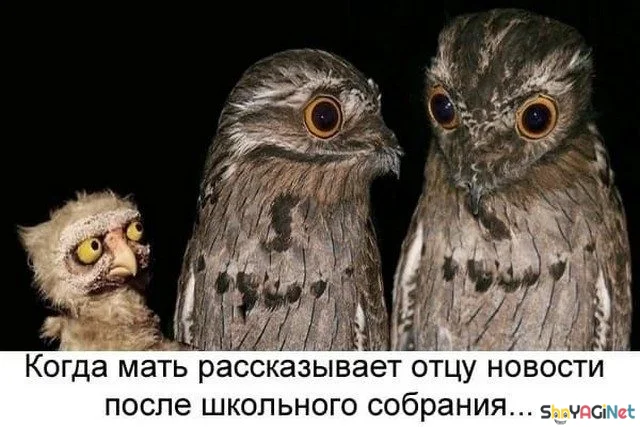 Когда жизнь подкидывает смешные ситуации Когда жизнь подкидывает смешные ситуации приколы, картинки, юмор, мемы, когда