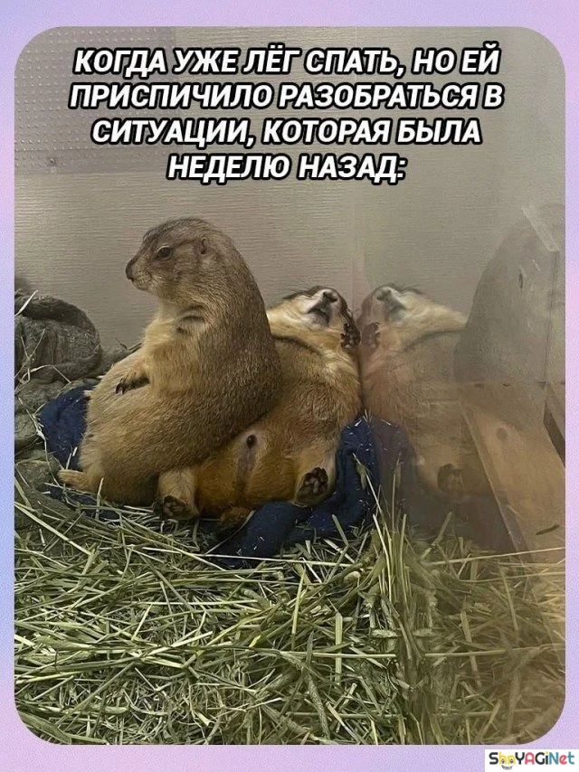 Когда жизнь подкидывает смешные ситуации Когда жизнь подкидывает смешные ситуации приколы, картинки, юмор, мемы, когда