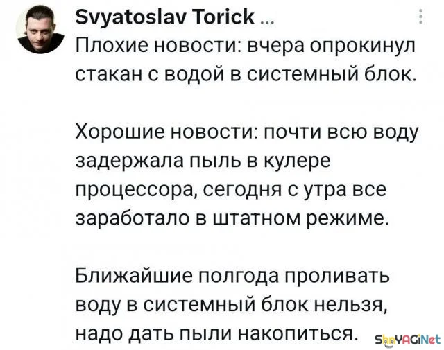 25 шедевров из комментариев комментарии, соцсети, юмор, приколы, подборка