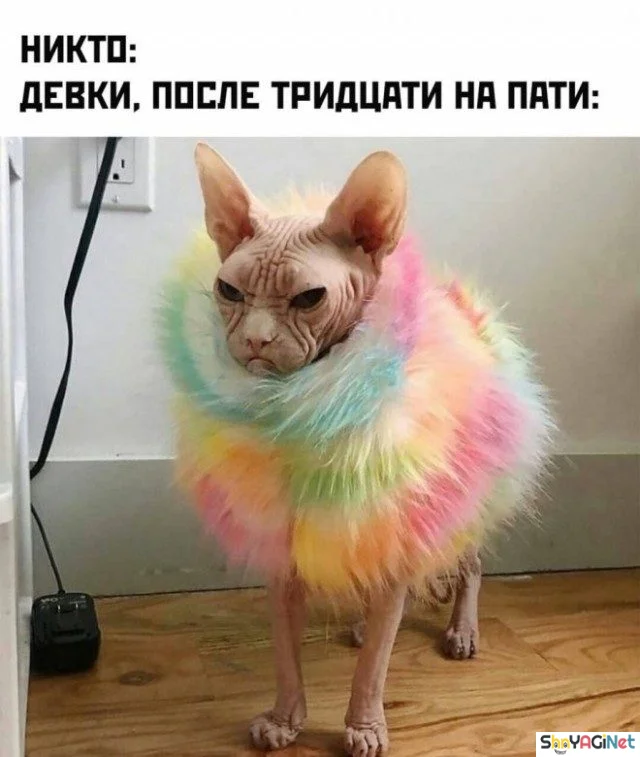 Женская логика в картинках женский юмор, приколы, картинки, подборка, смешные картинки