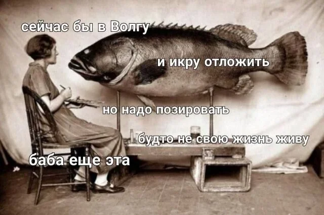 Мемы на утро: аптеки и не только мемы, юмор, картинки, подборка, аптеки
