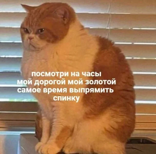 Мемы на утро: аптеки и не только мемы, юмор, картинки, подборка, аптеки