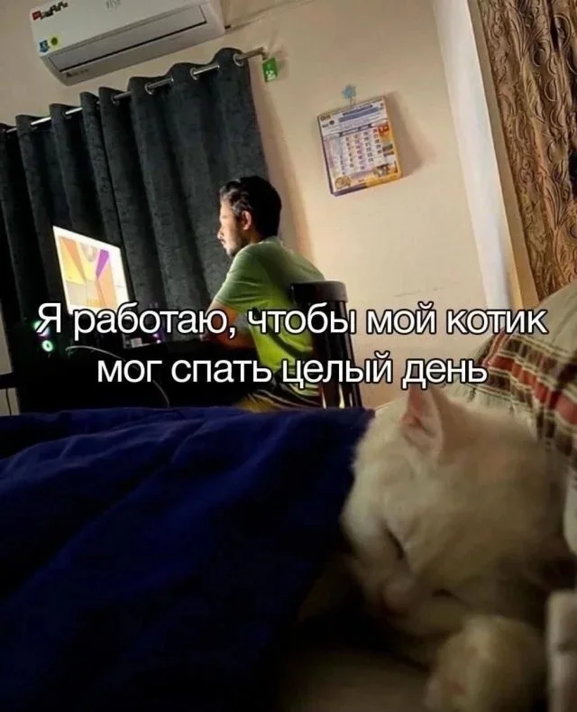 Мемы на утро: аптеки и не только мемы, юмор, картинки, подборка, аптеки