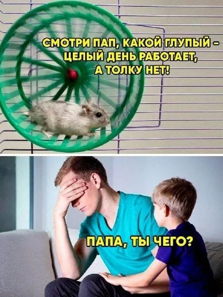 Заряжаемся позитивом: порция отборного юмора Заряжаемся позитивом: порция отборного юмора юмор, мемы, картинки, приколы, позитив