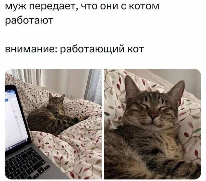 Заряжаемся позитивом: порция отборного юмора Заряжаемся позитивом: порция отборного юмора юмор, мемы, картинки, приколы, позитив
