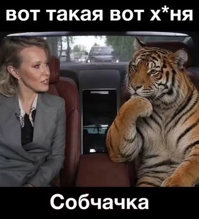 Заряжаемся позитивом: порция отборного юмора Заряжаемся позитивом: порция отборного юмора юмор, мемы, картинки, приколы, позитив