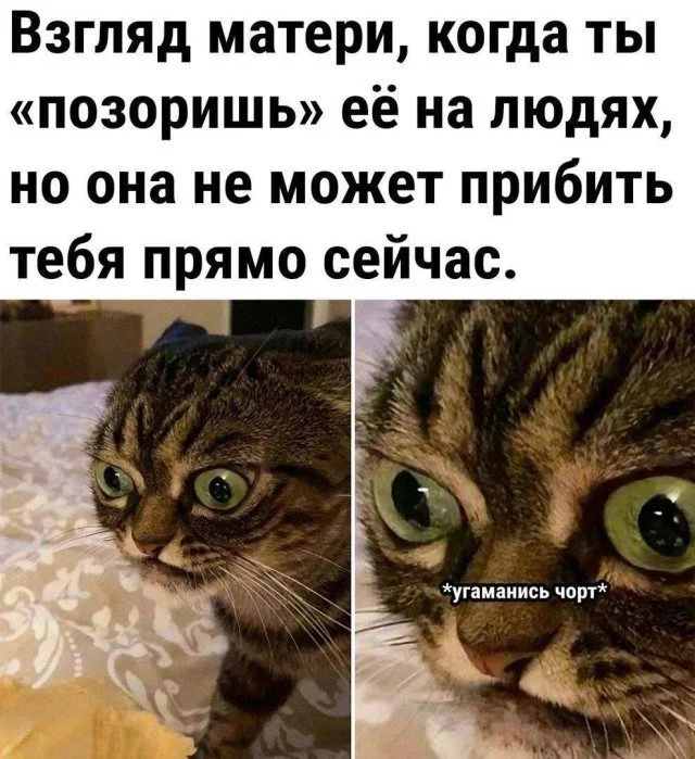Мемы, которые могли случиться с каждым Мемы, которые могли случиться с каждым мемы, юмор, приколы, картинки, подборка