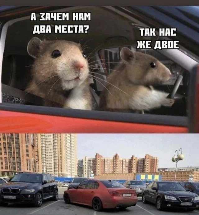 Мемы, которые могли случиться с каждым Мемы, которые могли случиться с каждым мемы, юмор, приколы, картинки, подборка