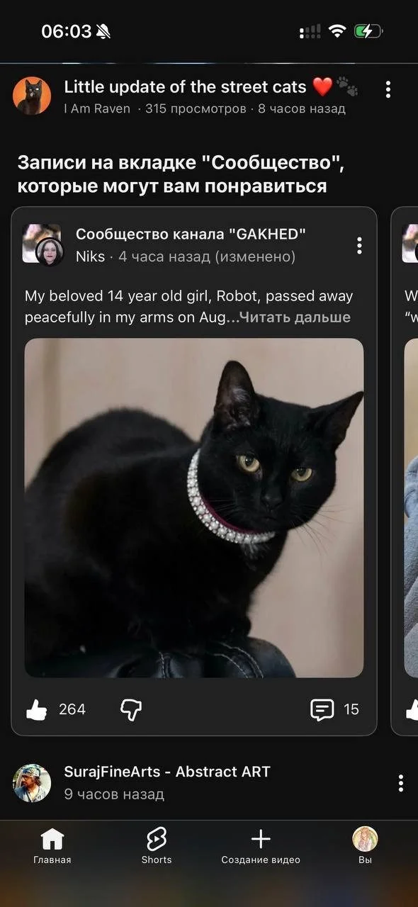 Мемы, которые могли случиться с каждым Мемы, которые могли случиться с каждым мемы, юмор, приколы, картинки, подборка