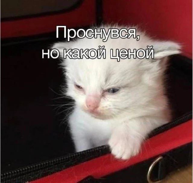 Мемы, которые могли случиться с каждым Мемы, которые могли случиться с каждым мемы, юмор, приколы, картинки, подборка
