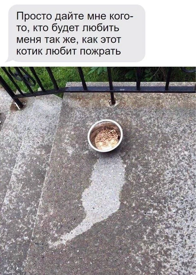 Смех гарантирован: новая порция мемов мемы, юмор, приколы, картинки, смех