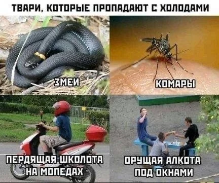 Мемы, которые поймут все мемы, юмор, картинки, подборка, приколы
