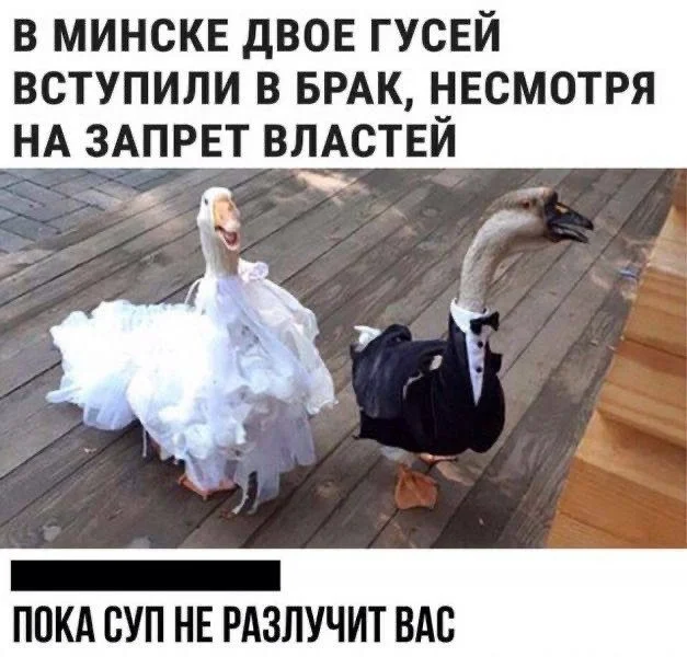 Мемы, которые поймут все мемы, юмор, картинки, подборка, приколы