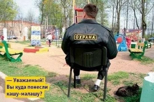 Мемы, которые поймут все мемы, юмор, картинки, подборка, приколы