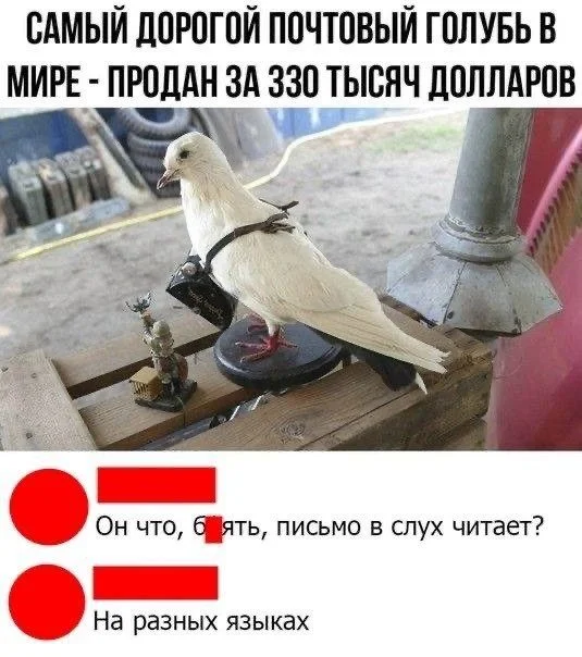 Мемы, которые поймут все мемы, юмор, картинки, подборка, приколы