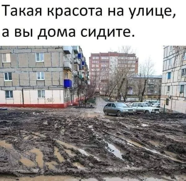 Мемы, которые поймут все мемы, юмор, картинки, подборка, приколы