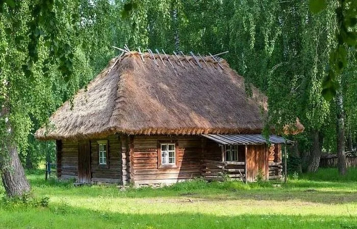 Почему соломенная крыша не боится дождя и служит полвека