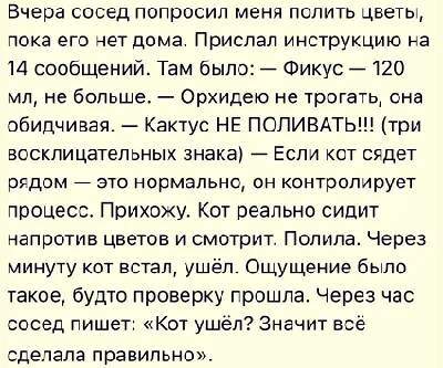 Шутки, которые разрывают шаблоны юмор, мемы, политика, сатира, Трамп, Иран, ЖКХ