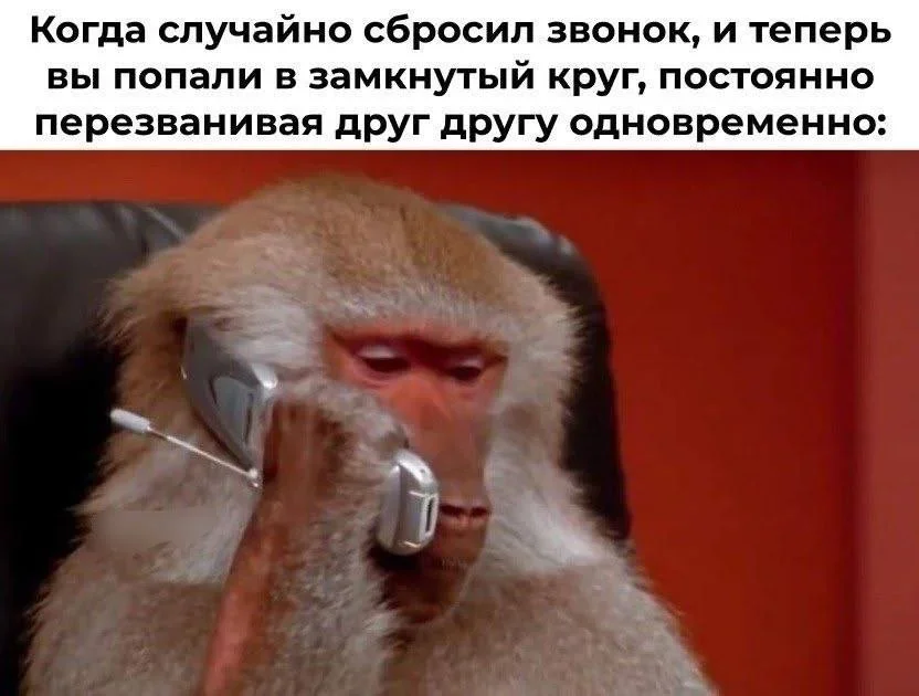 Утренняя порция мемов: 18 сентября мемы, юмор, смешные картинки, подборка, позитив