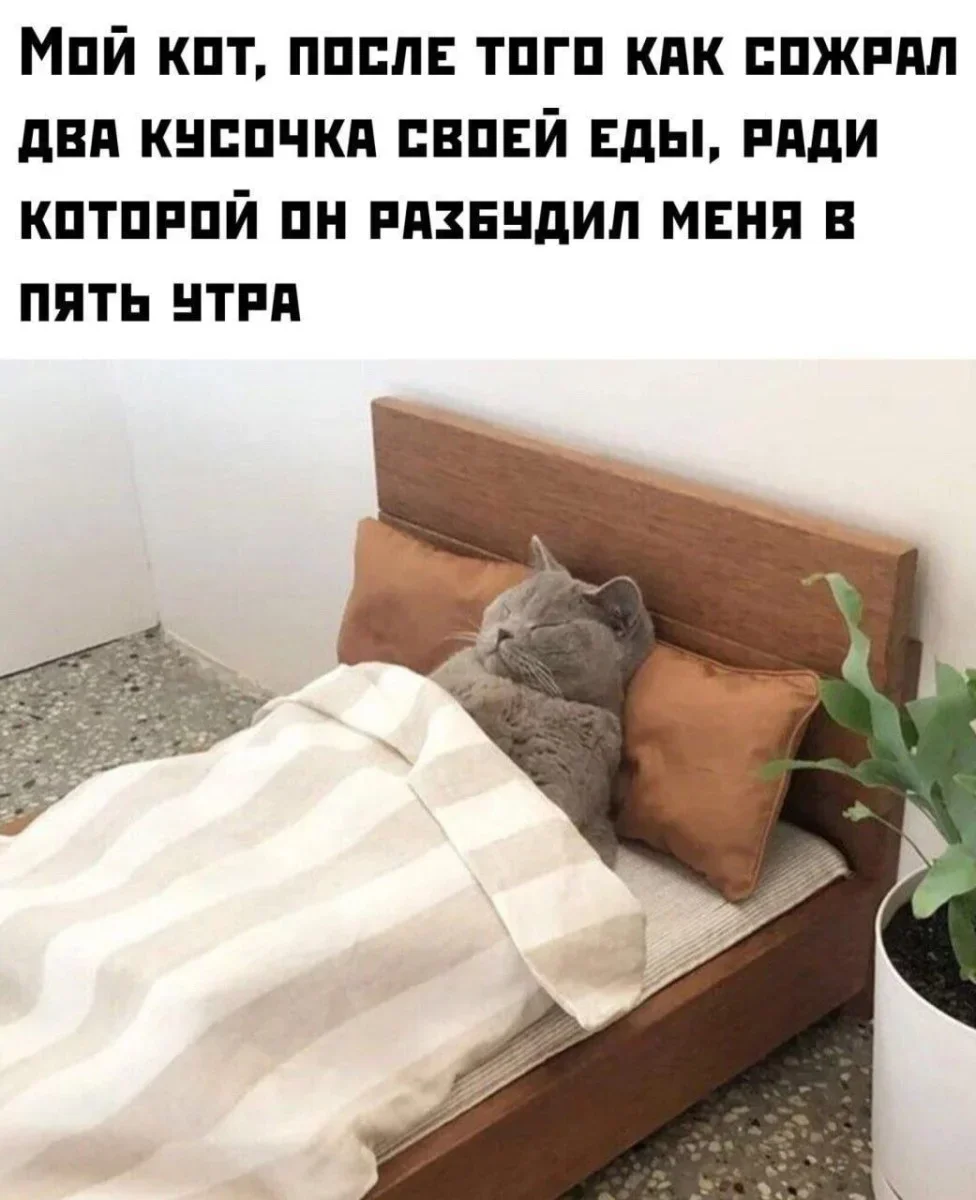 Утренняя порция мемов: 18 сентября мемы, юмор, смешные картинки, подборка, позитив