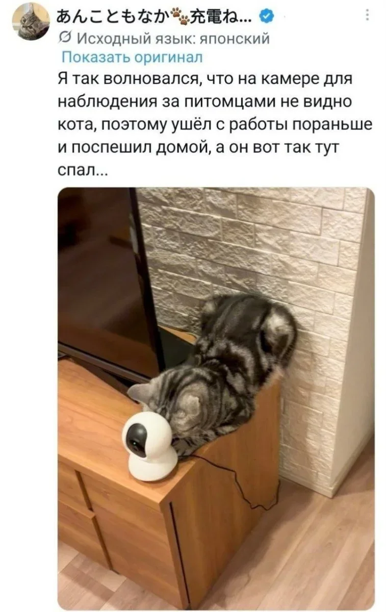 Утренняя порция мемов: 18 сентября мемы, юмор, смешные картинки, подборка, позитив