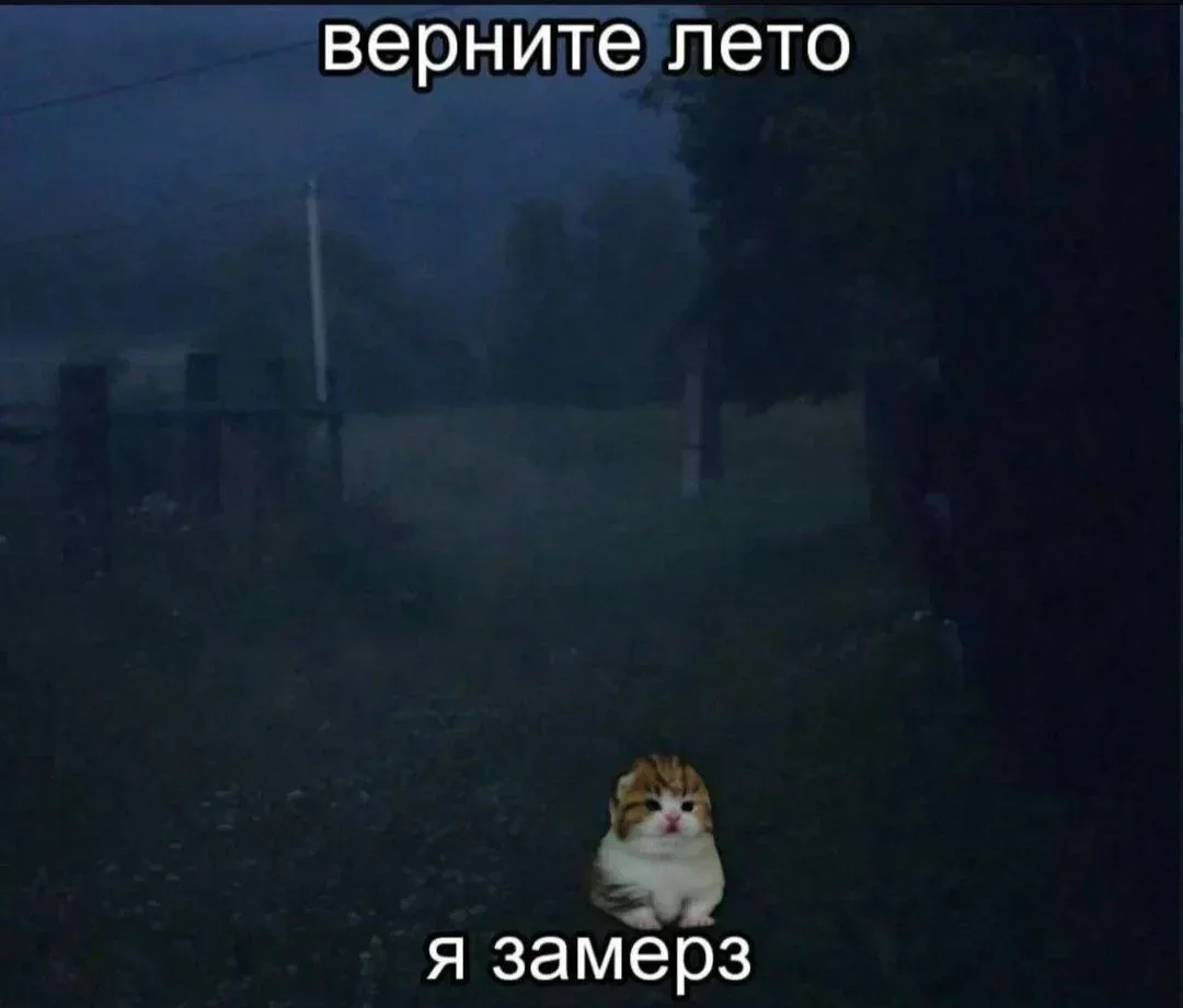 Утренняя порция мемов: 18 сентября мемы, юмор, смешные картинки, подборка, позитив