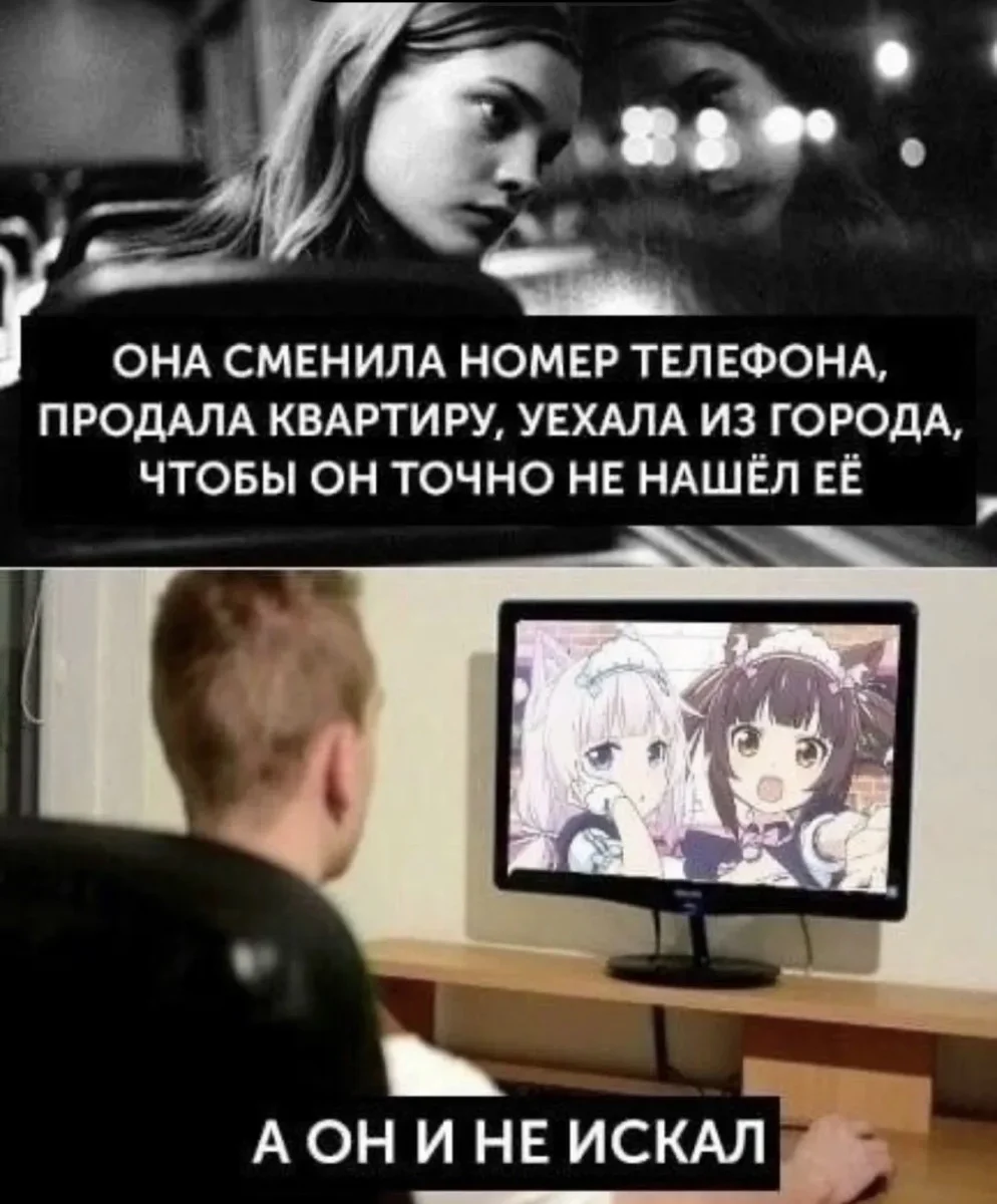 Пятничная доза смеха: черепаха грустит, а мы нет Пятничная доза смеха: черепаха грустит, а мы нет мемы, юмор, картинки, приколы, пятница
